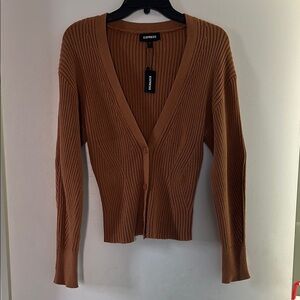 Express Women's Brown Sweater